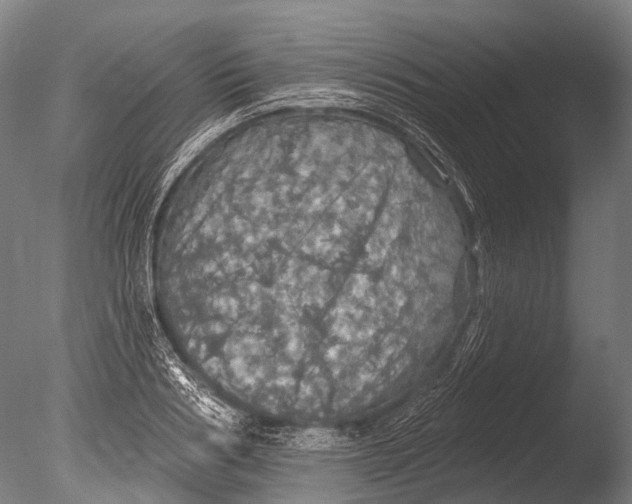 X0000085060986200703261200