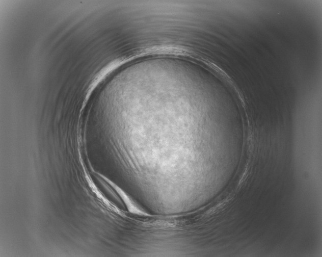 X0000085060989200703261200