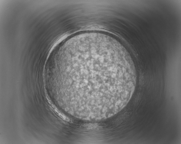 X0000085060990200703261200