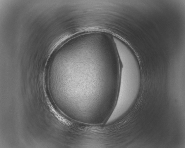 X0000085060991200703261200