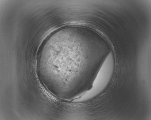 X0000085060992200703261200