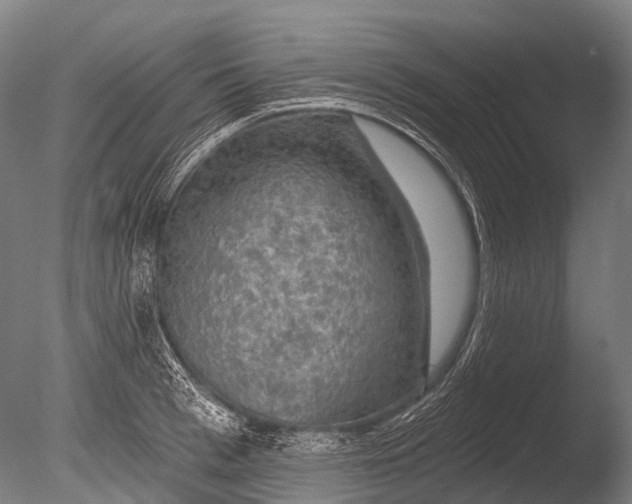 X0000085060993200703261200