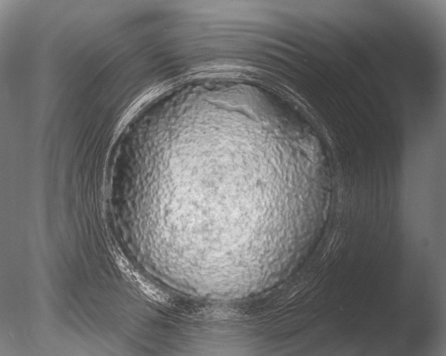 X0000085060994200703261200