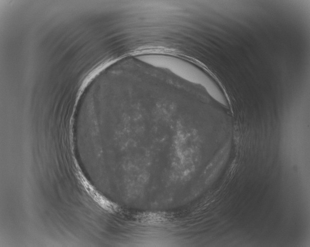 X0000085060995200703261200