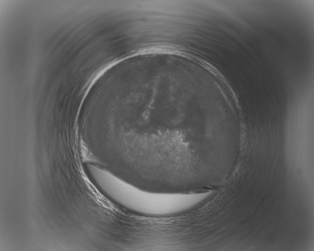 X0000085060996200703261200