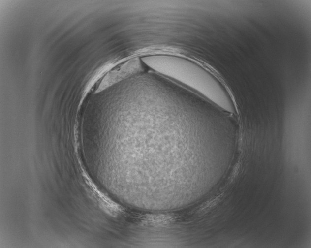 X0000085060997200703261200