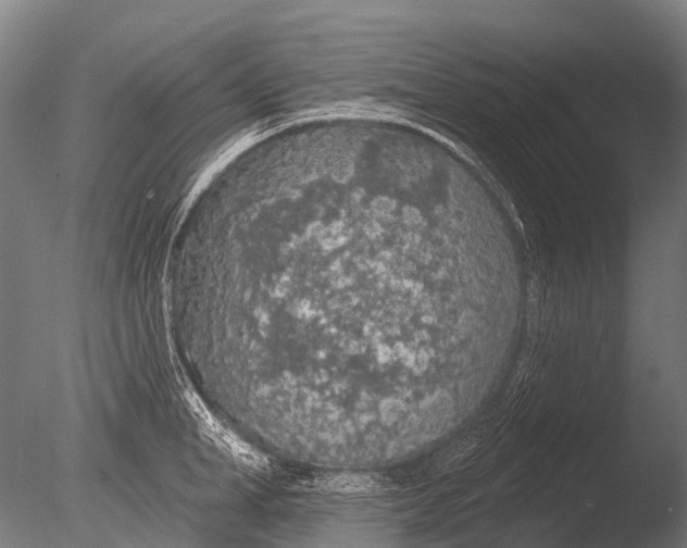 X0000085060998200703261200