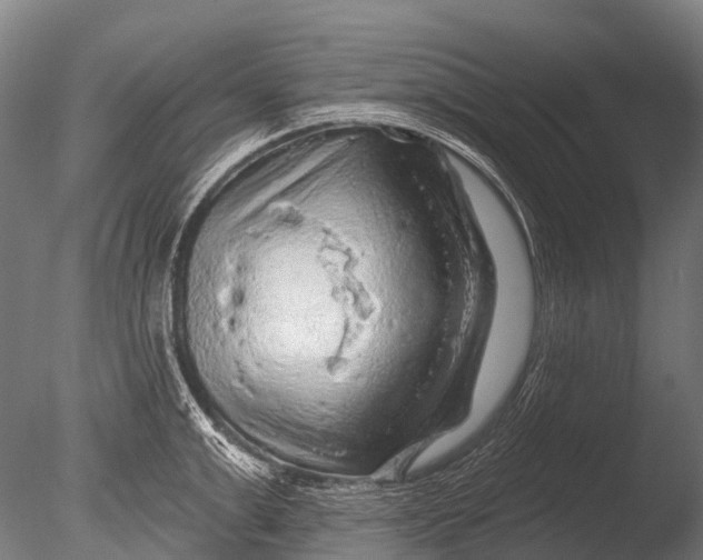 X0000085060999200703261200