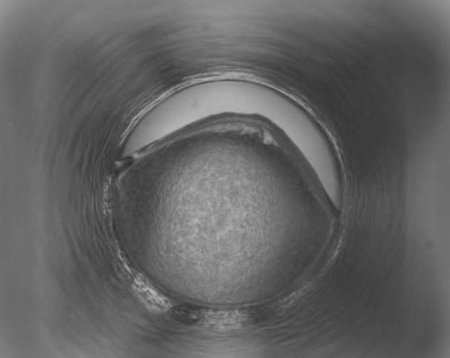 X0000085061001200703261200