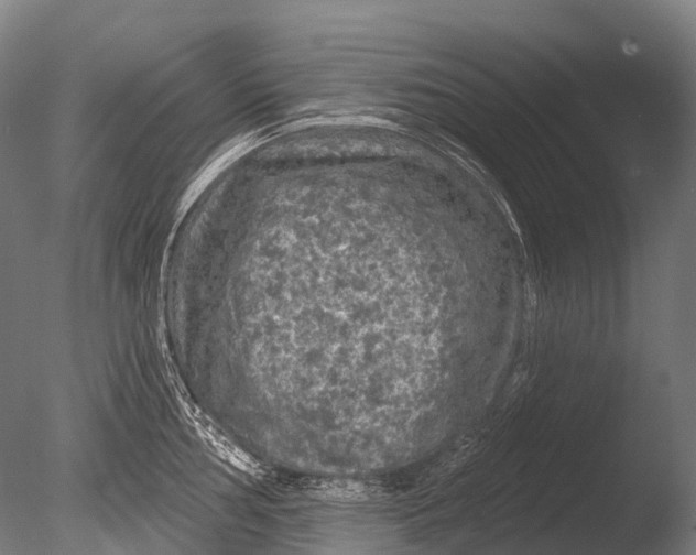 X0000085061002200703261200