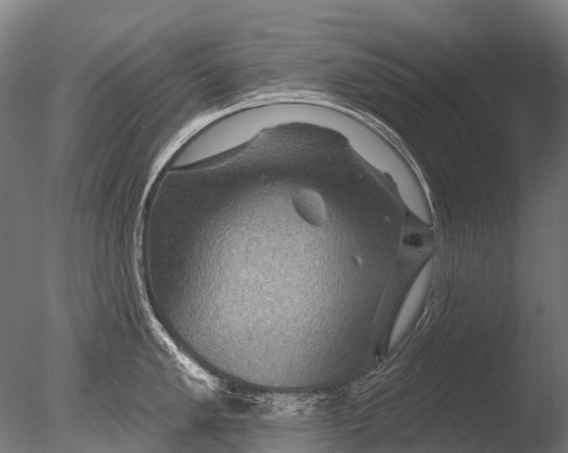 X0000085061005200703261159