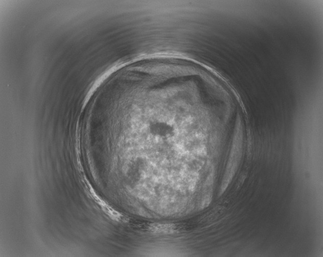 X0000085061006200703261159