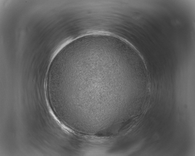 X0000085061007200703261159