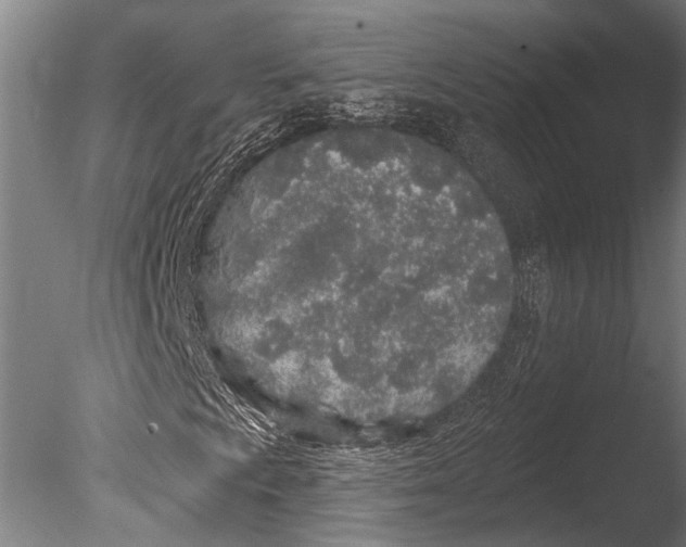 X0000085061009200703261159