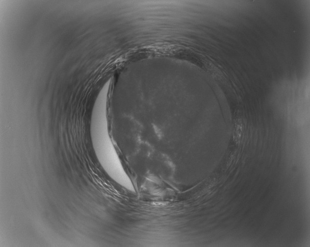 X0000085061010200703261159