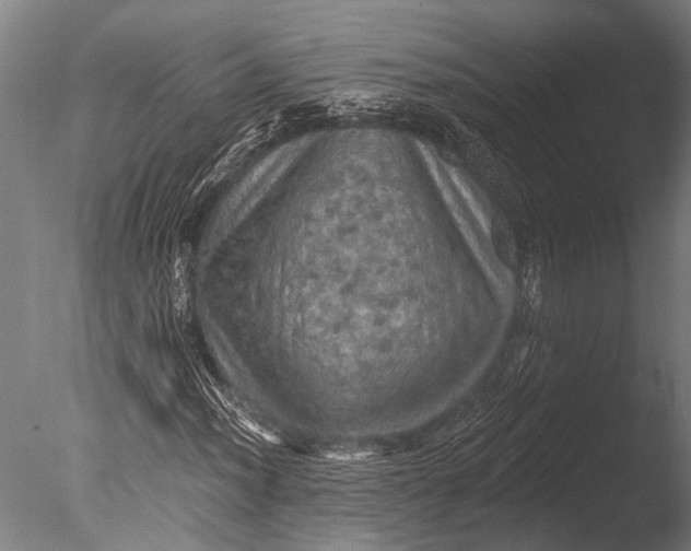 X0000085061012200703261159