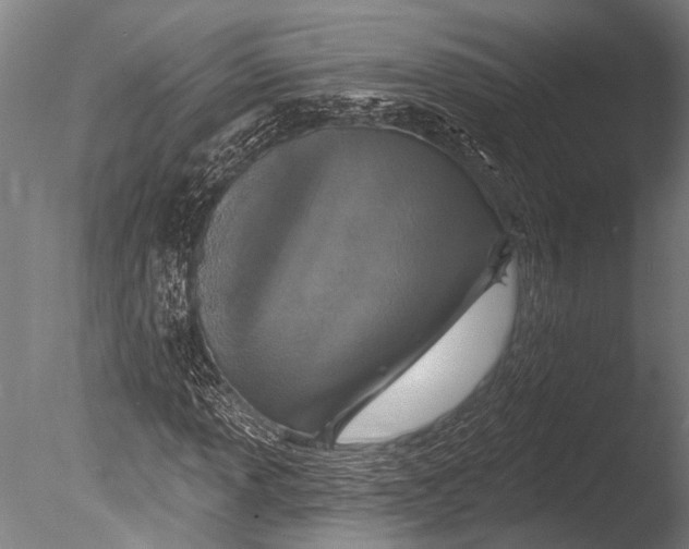 X0000085061013200703261159