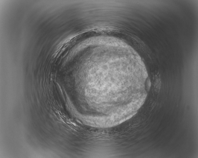 X0000085061016200703261159