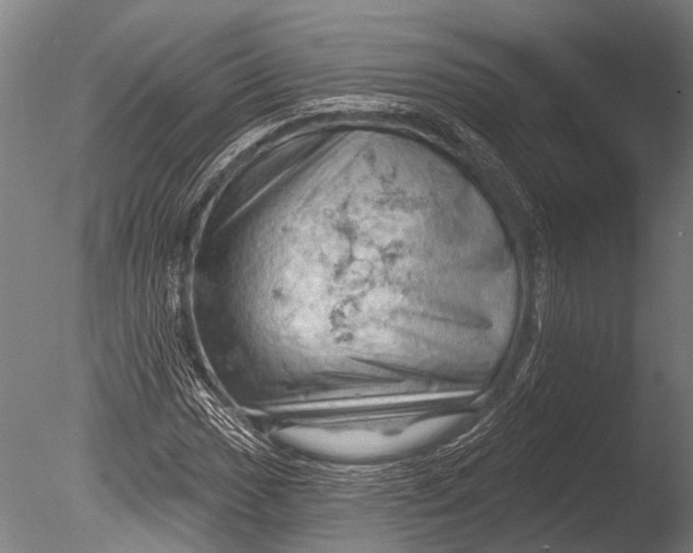 X0000085061017200703261159