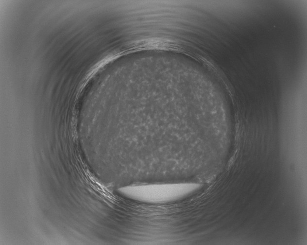 X0000085061019200703261159