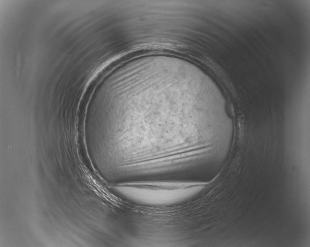 X0000085061020200703261159