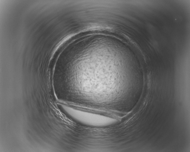 X0000085061021200703261159