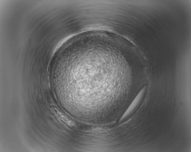 X0000085061022200703261159