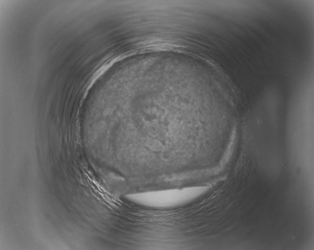 X0000085061023200703261159