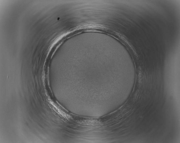 X0000085061024200703261159