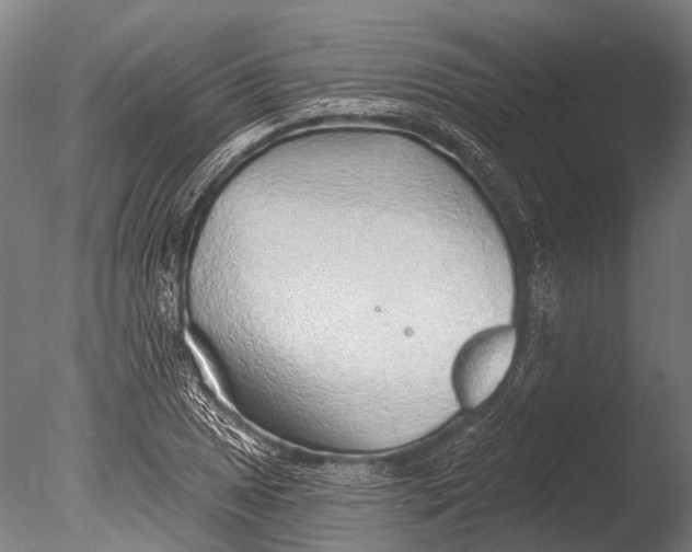 X0000085061025200703261159