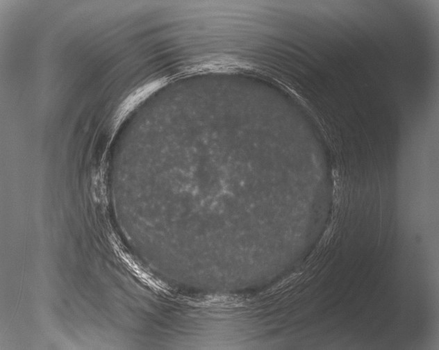 X0000085061026200703261159