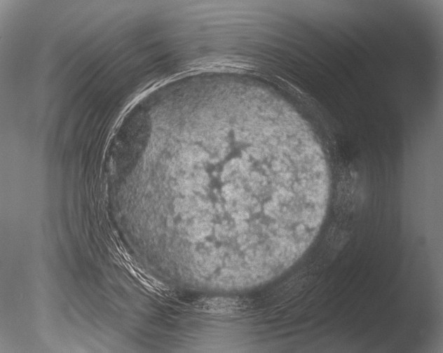 X0000085061027200703261159