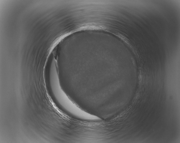 X0000085061030200703261159