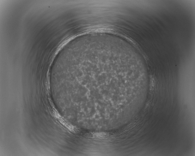 X0000085061031200703261159