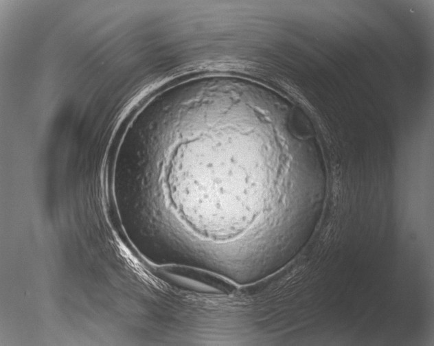 X0000085061032200703261159