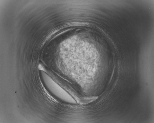 X0000085061033200703261159