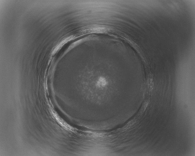 X0000085061034200703261159