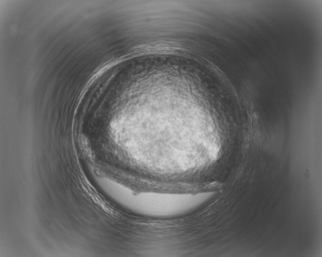 X0000085061035200703261159