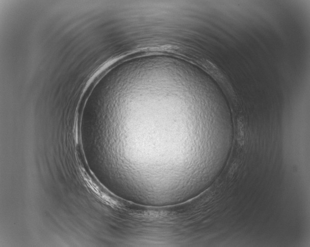 X0000085061036200703261159