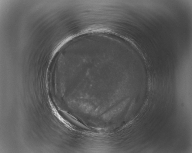 X0000085061038200703261159