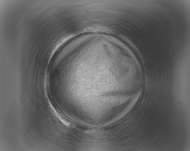 X0000085061040200703261159