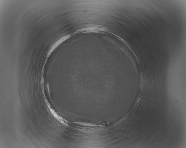 X0000085061042200703261159