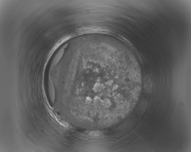 X0000085061043200703261159