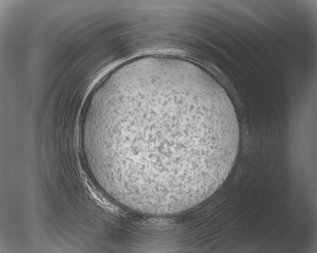 X0000085061044200703261159