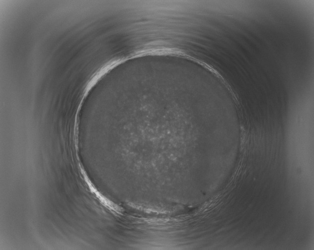 X0000085061046200703261159