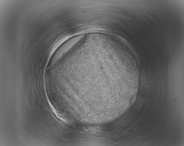 X0000085061047200703261159