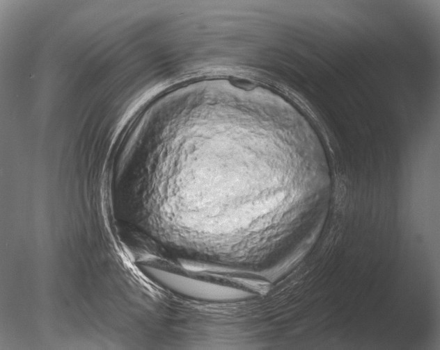 X0000085061048200703261159