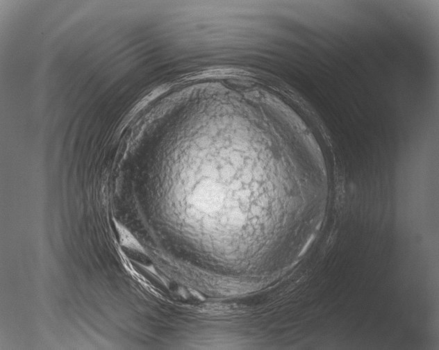 X0000085061049200703261159