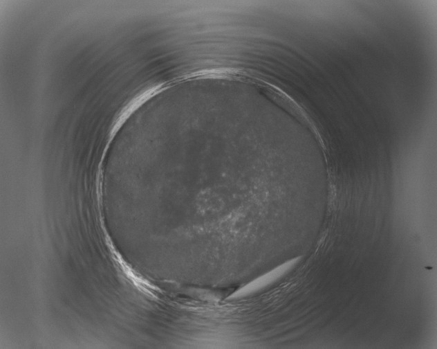 X0000085061050200703261159