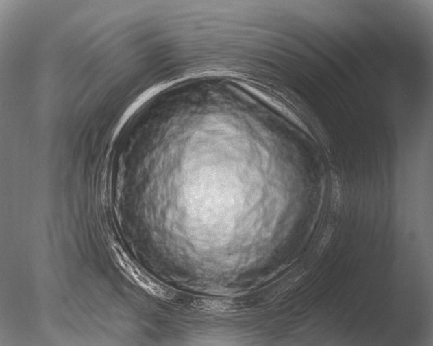 X0000085061052200703261159